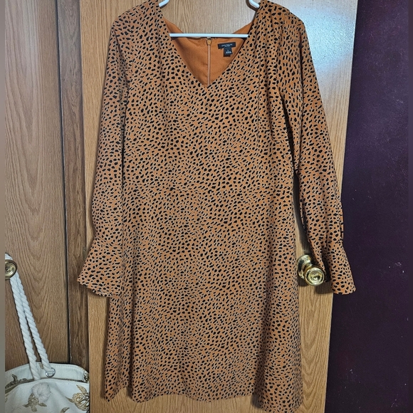 Ann Taylor Factory Dresses & Skirts - Ann Taylor Factory Animal Print Knee Length Dress!